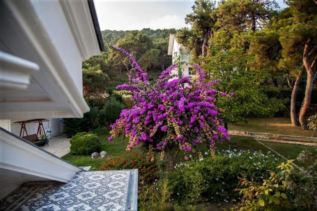 Triada Hotel Bueyuekada Adalar Exterior foto